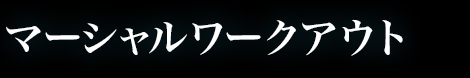 マーシャルワークアウト